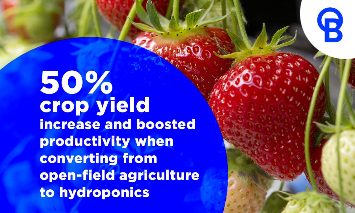 Experience a 50% crop yield increase and boosted productivity when converting from open-field agriculture to hydroponics