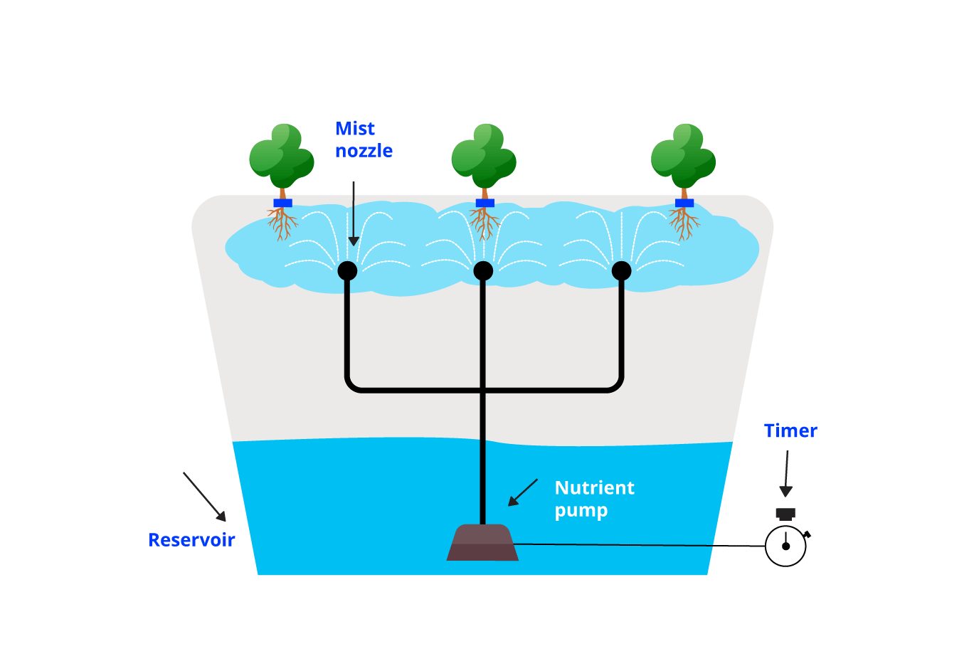 Aeroponics-System