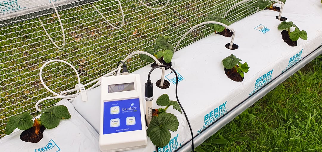 The Bluelab Combo Meter Plus in action at Black Stump Berry Farm