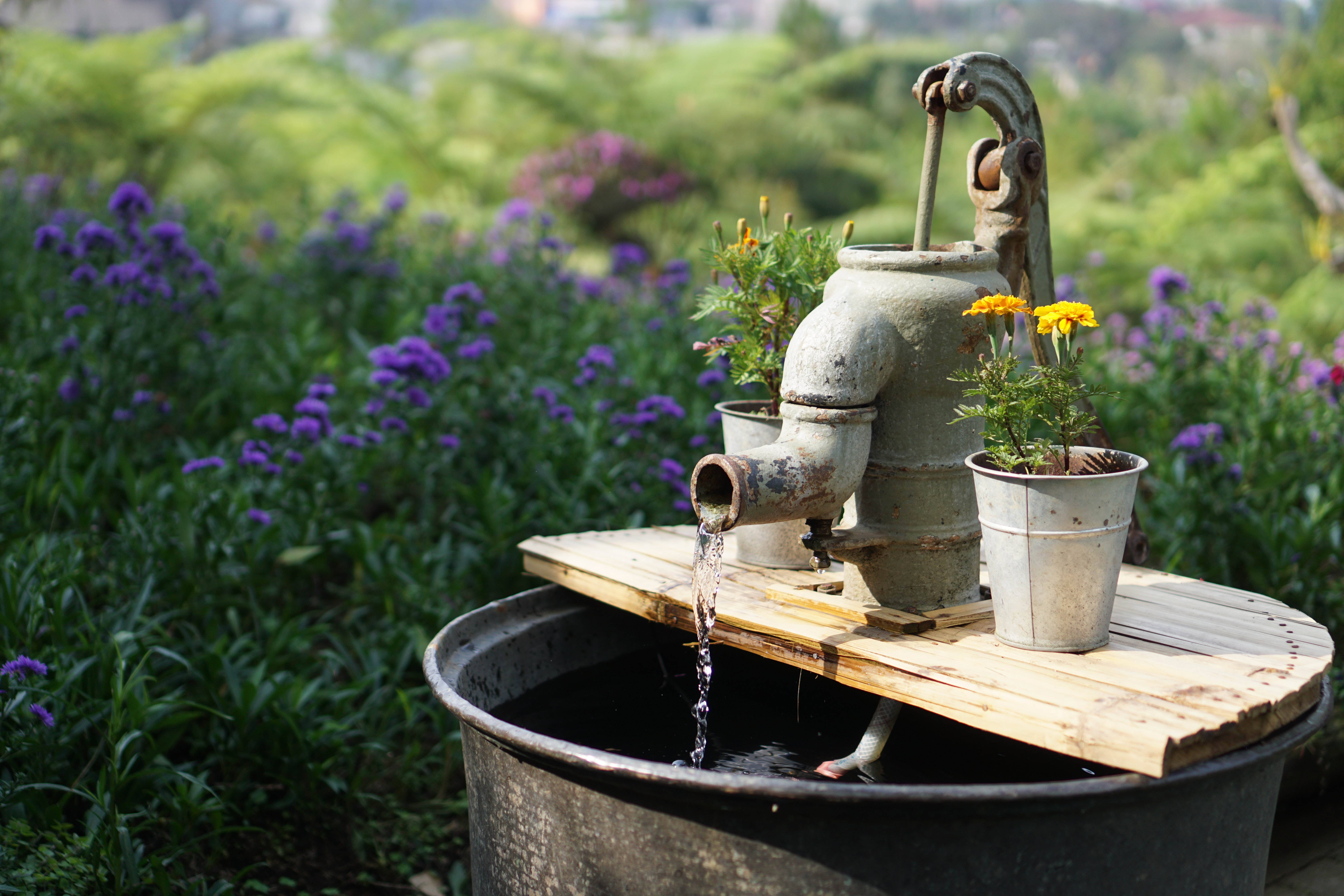 Old water pump located in a garden