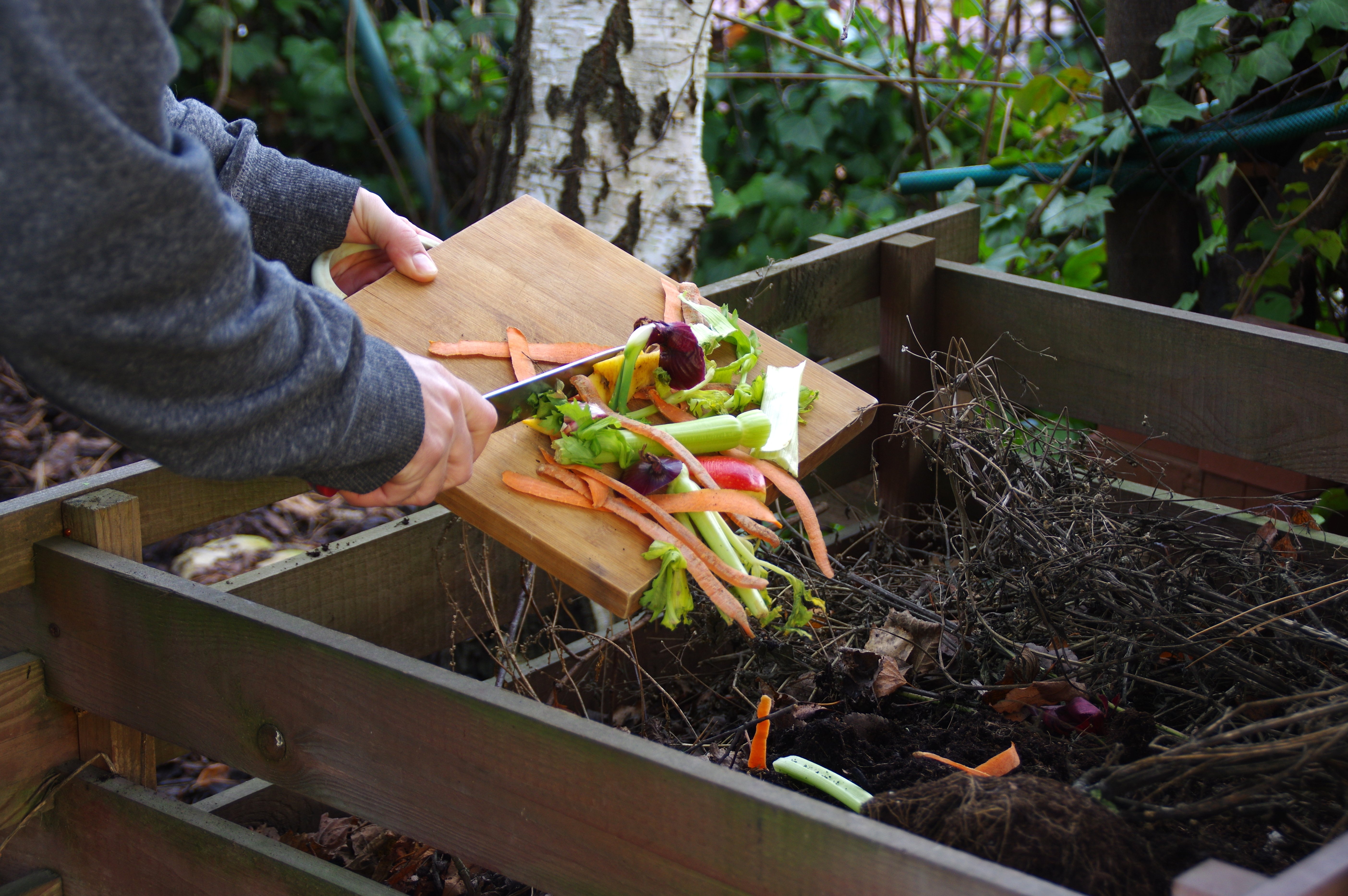 Scraping vegetable waste into a composting bin