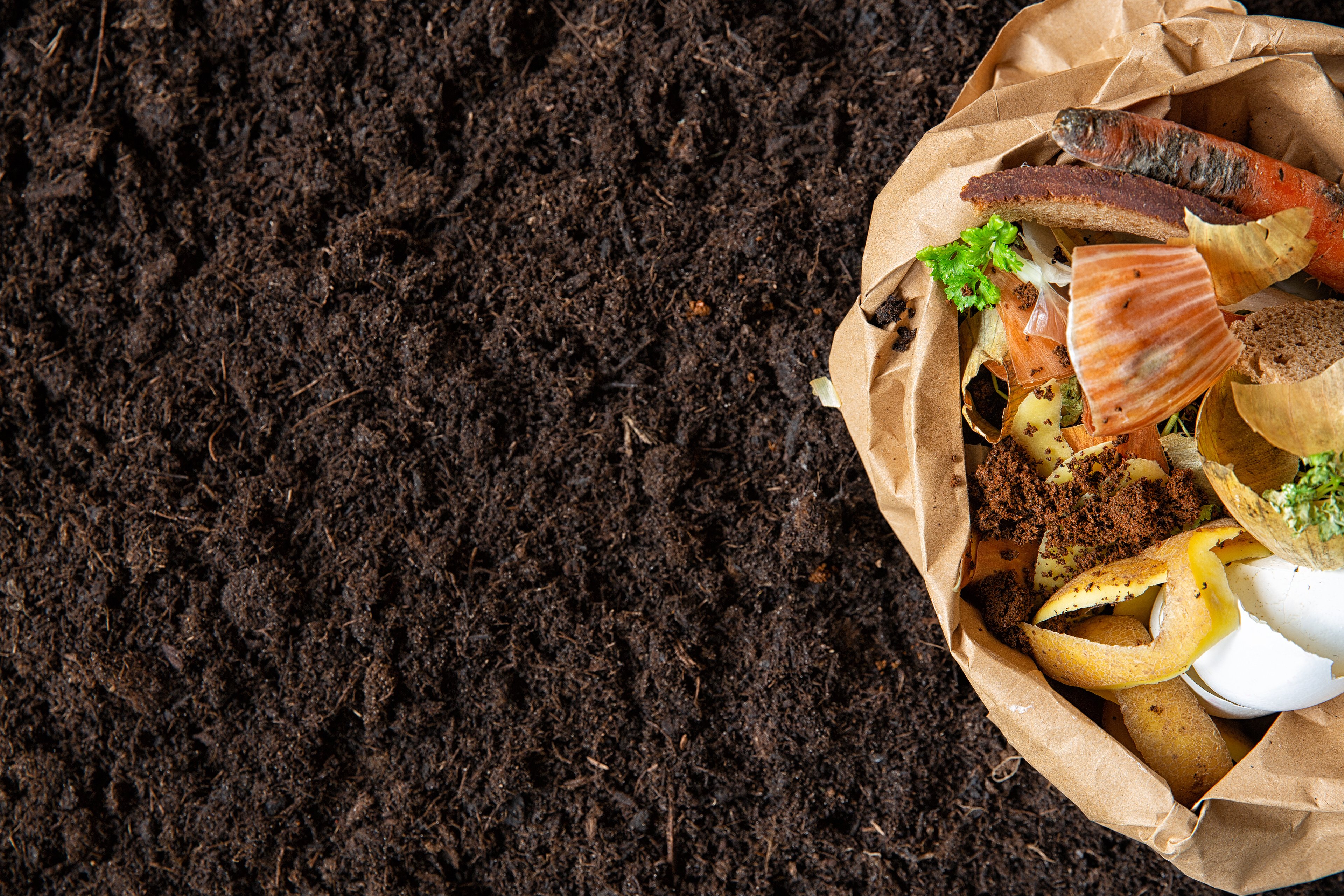 Composting adds beneficial micro-organisms to your soil