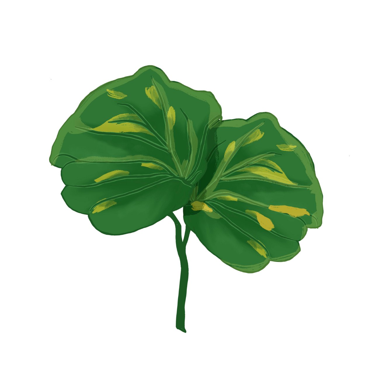 Common nutrient deficiencies in plants and how to fix them