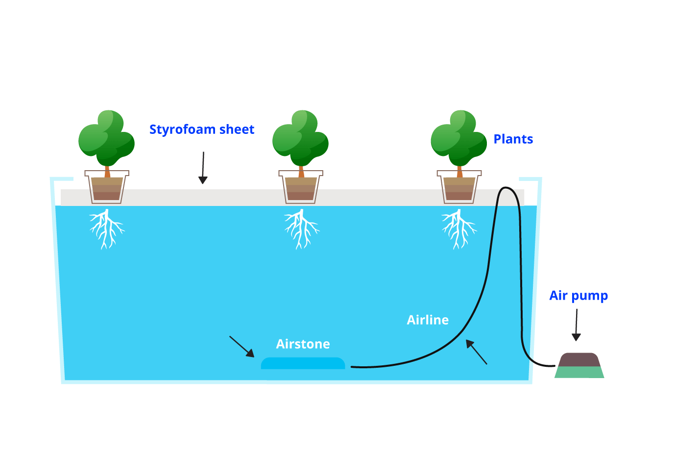 DWC-System