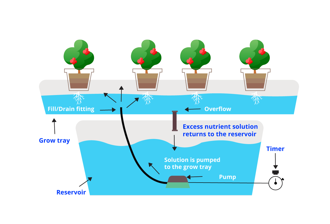 A beginner's guide to hydroponics