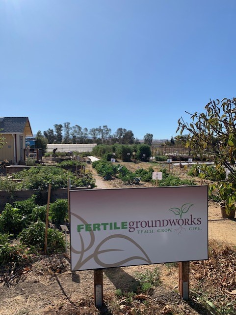 Fertile-GroundWorks-community-garden