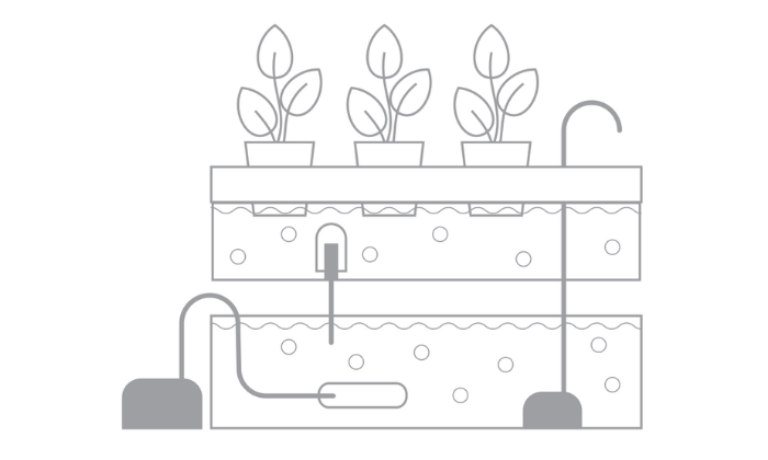 Flood and Drain _ Drain to Waste