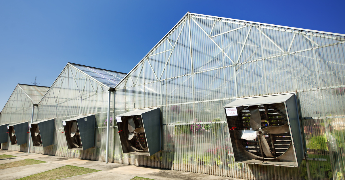 fans on side of commercial greenhouses