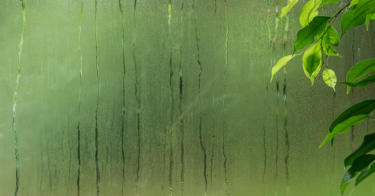 greenhouse fogging to control temperature and humidity