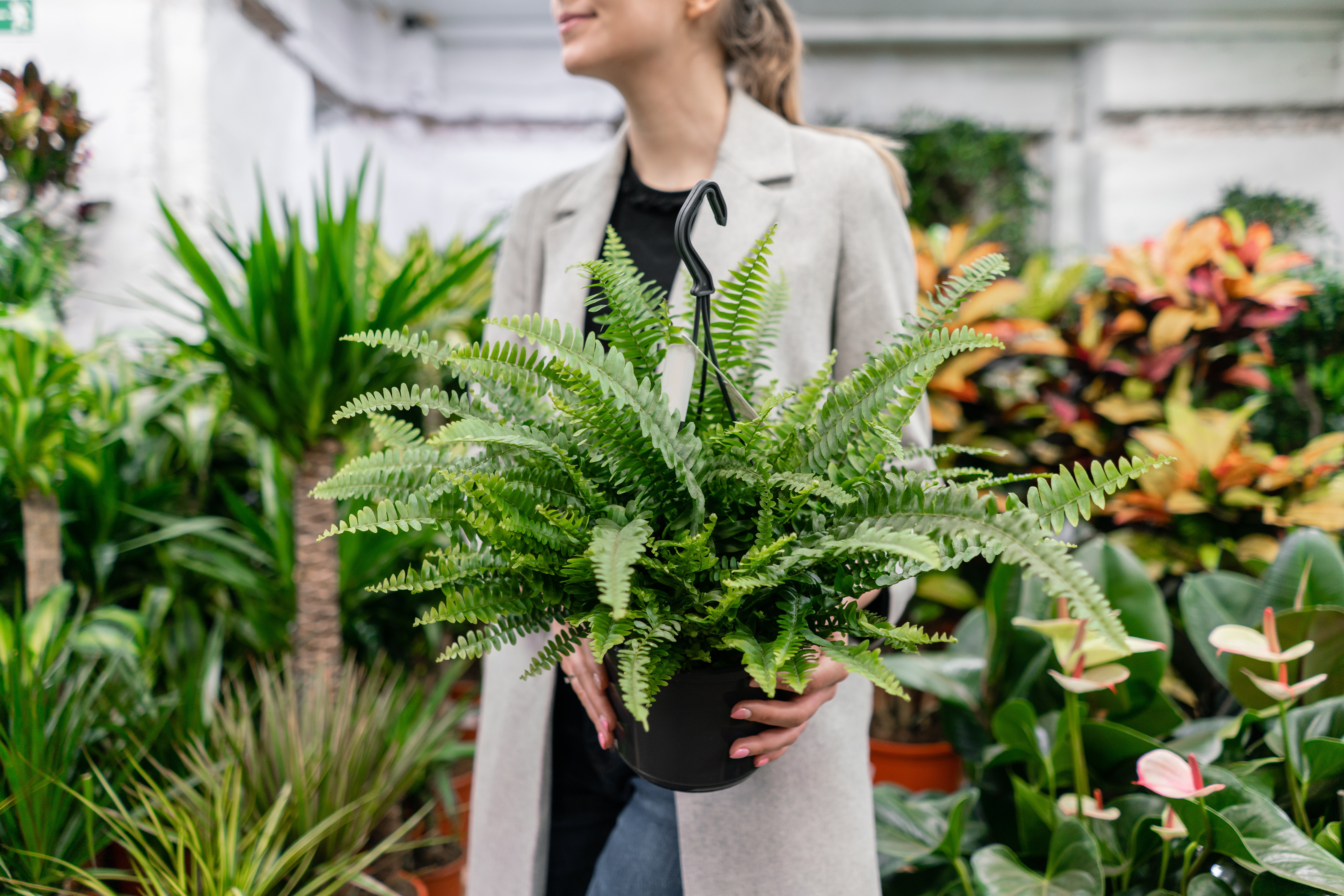 Woman holds a fern within a tropical plants store
