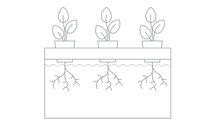 Kratky Method