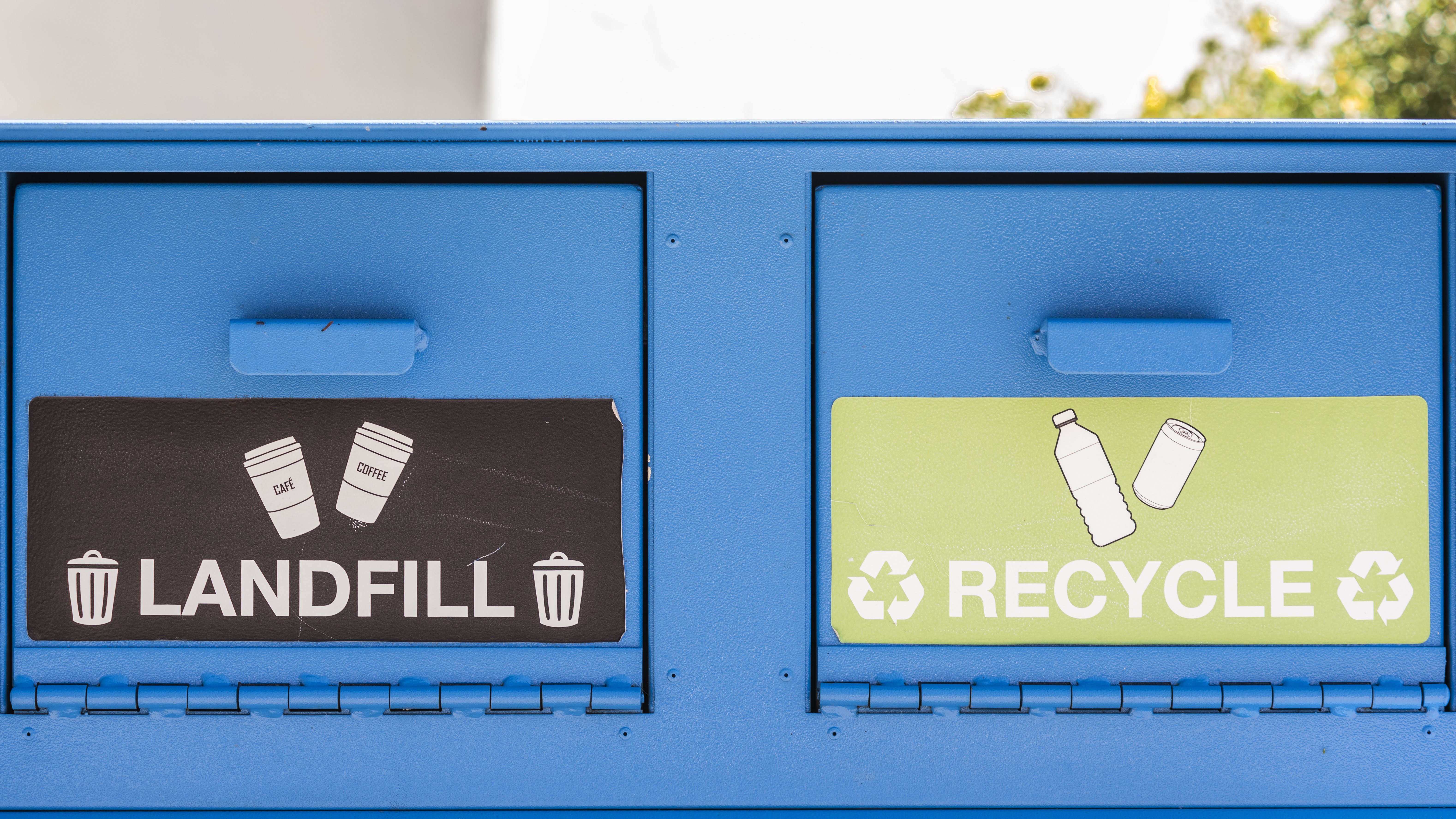 Landfill and recycling bins