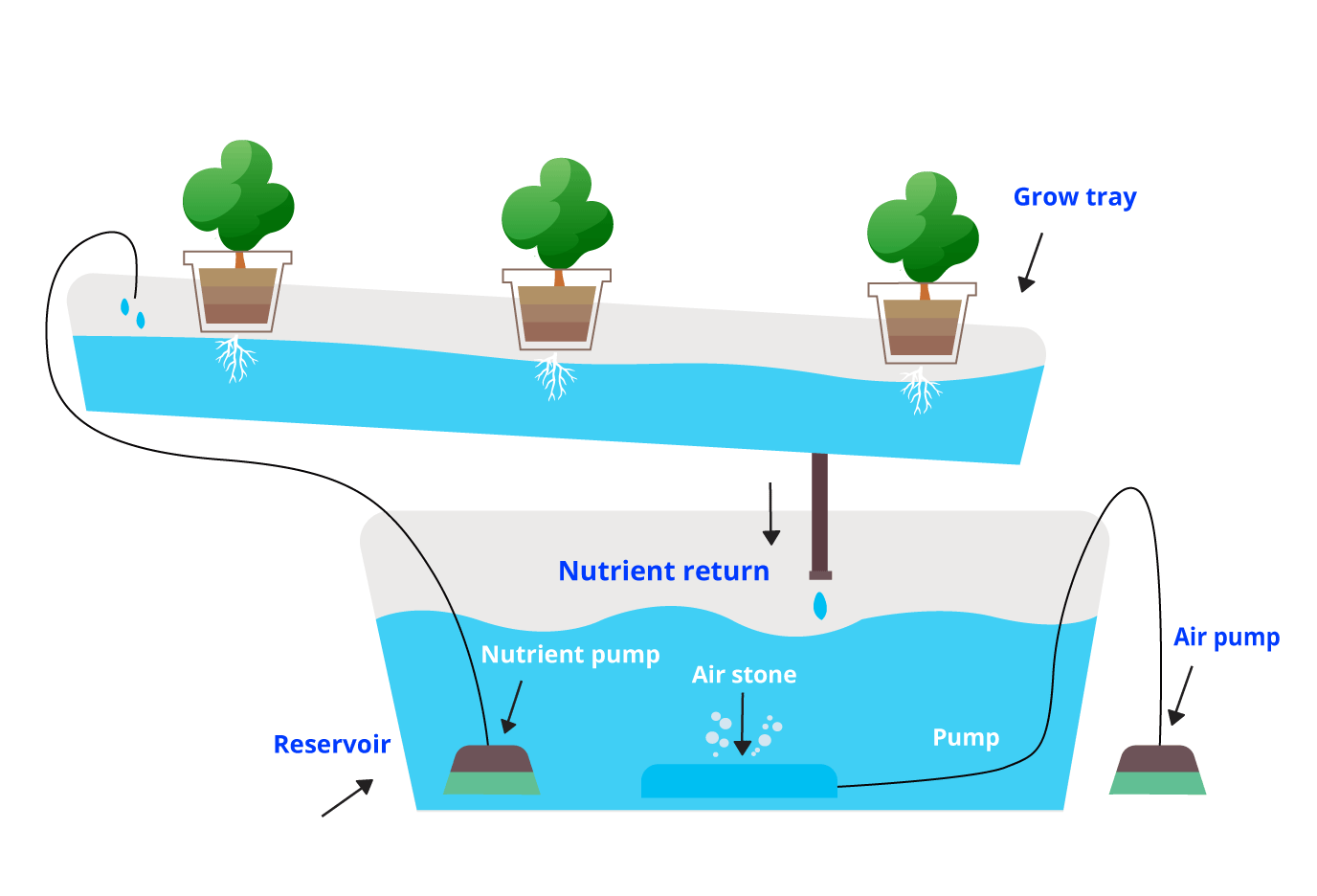 NFT-System