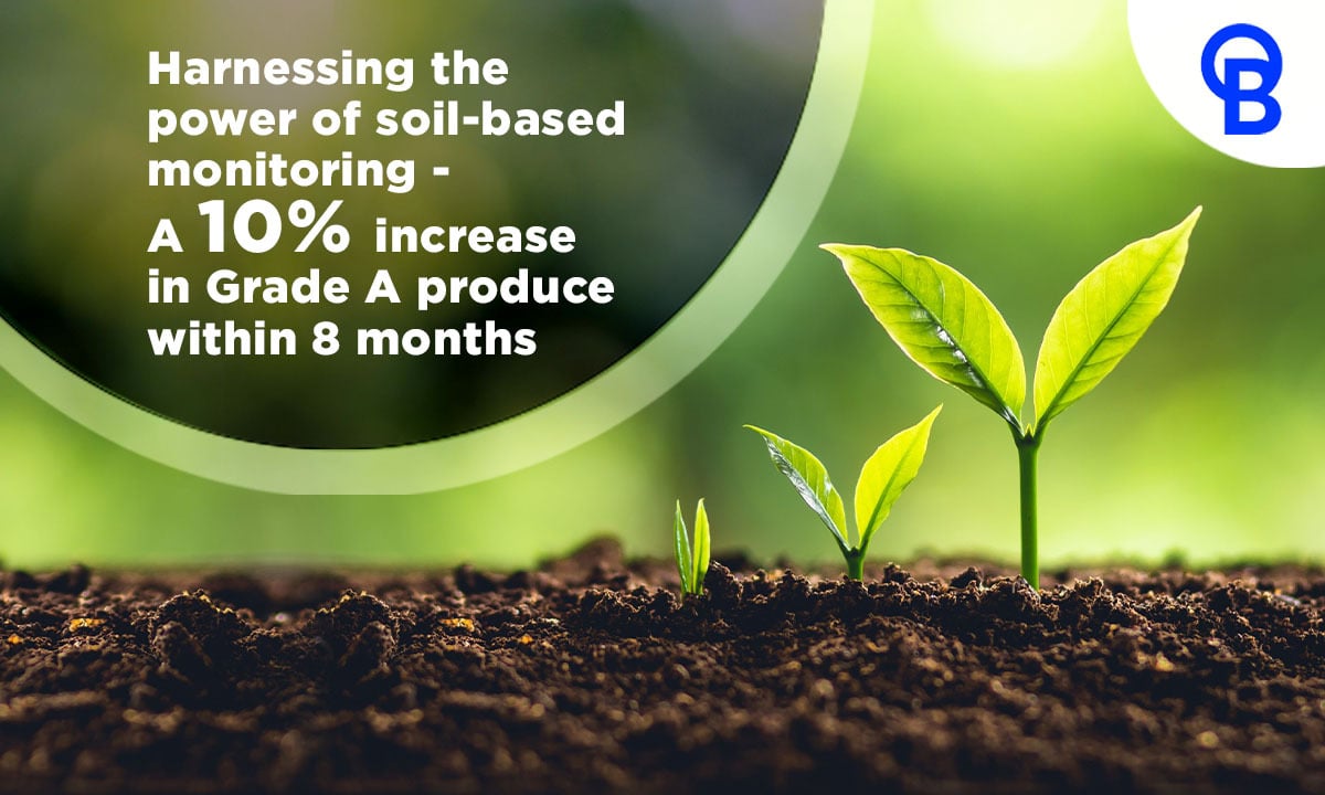Harnessing the power of soil-based monitoring - A 10% increase in Grade A produce within 8 months
