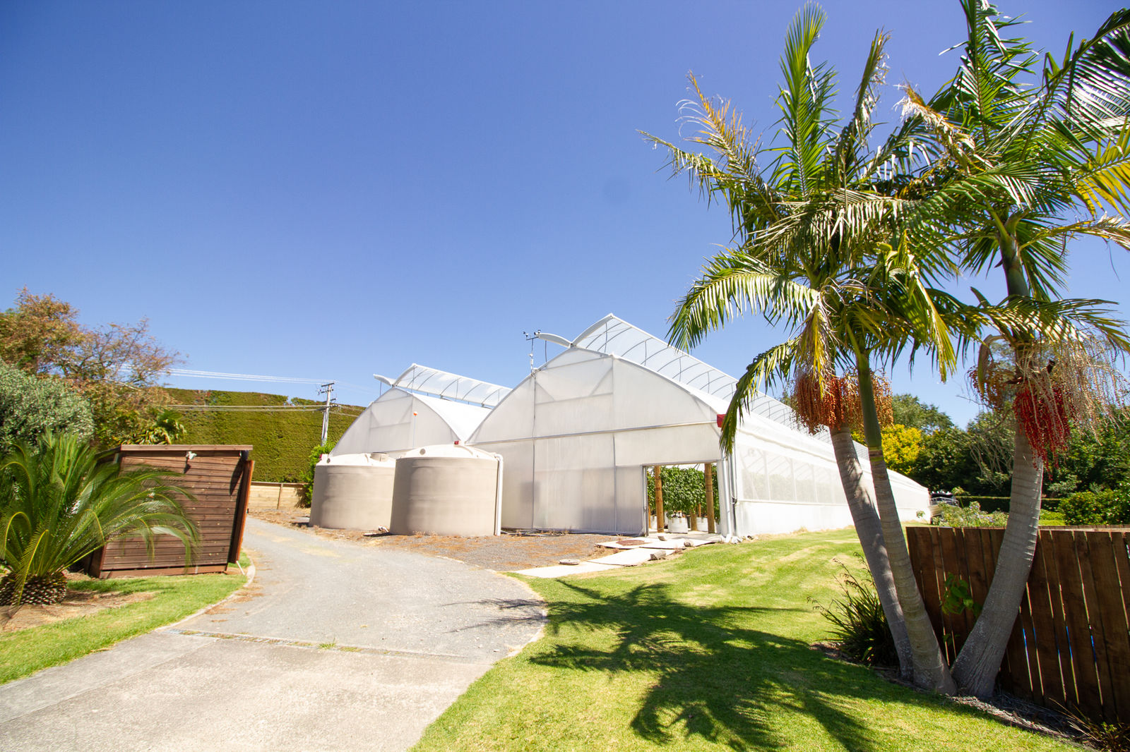 The CEA greenhouse at Scott Pilcher's farm