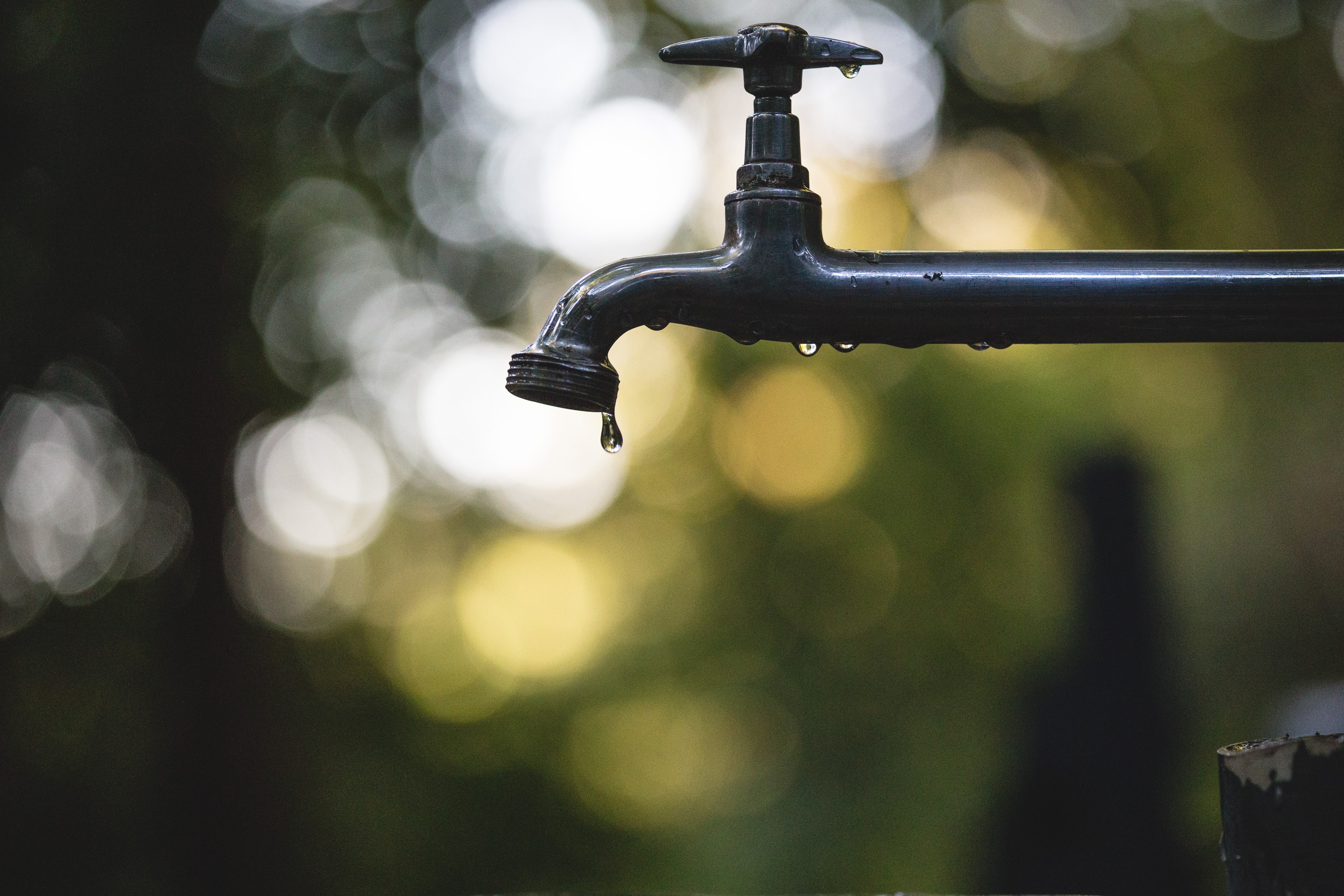 Test the water quality of your source water - domestic or tap water