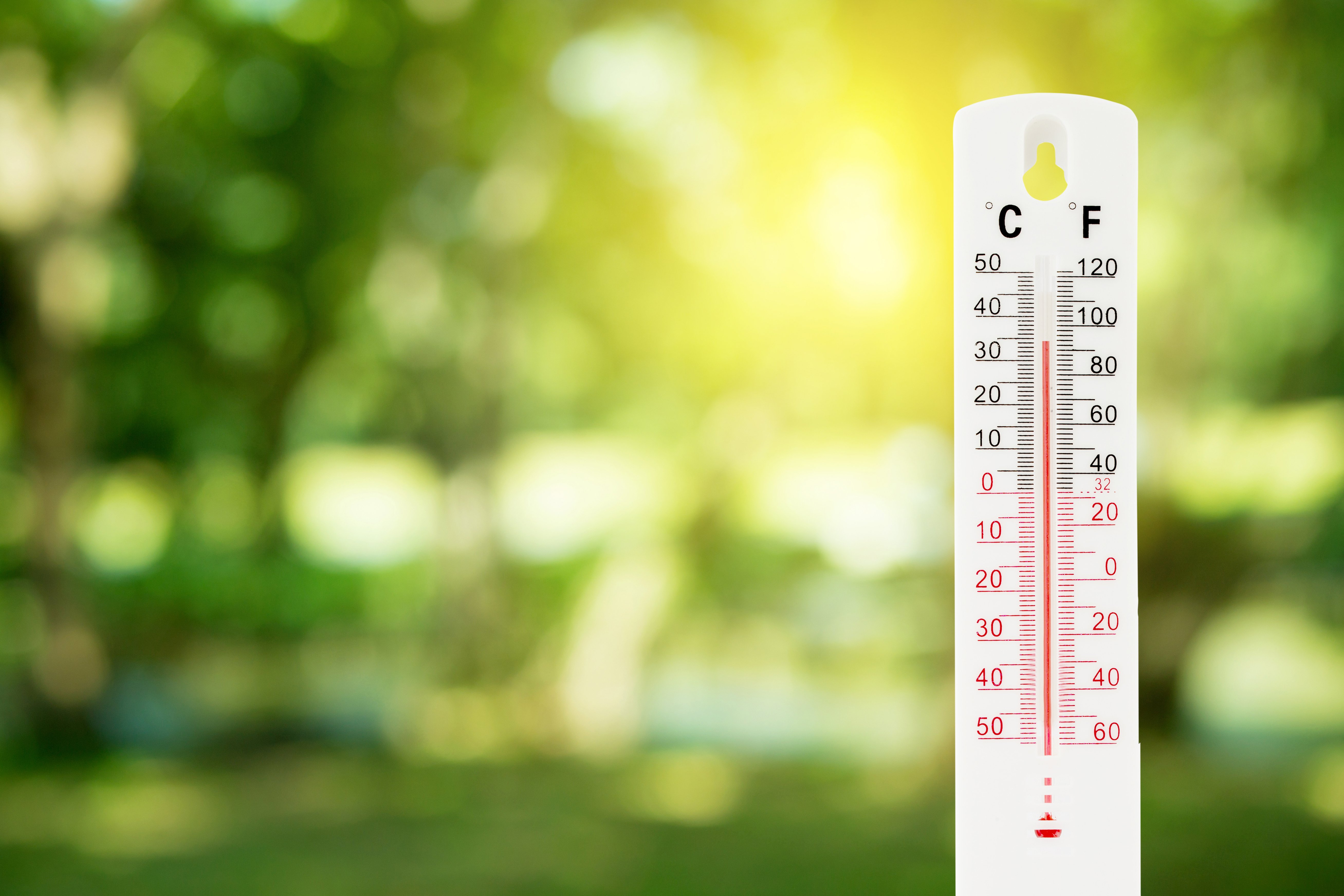 Thermometer measures the temperature in an outdoor green space