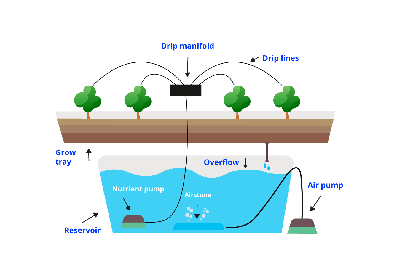 The-Drip-System