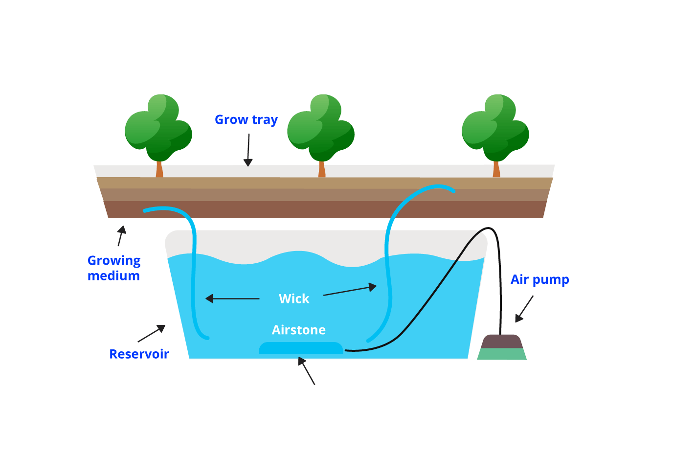 A Beginner's Guide To Hydroponics