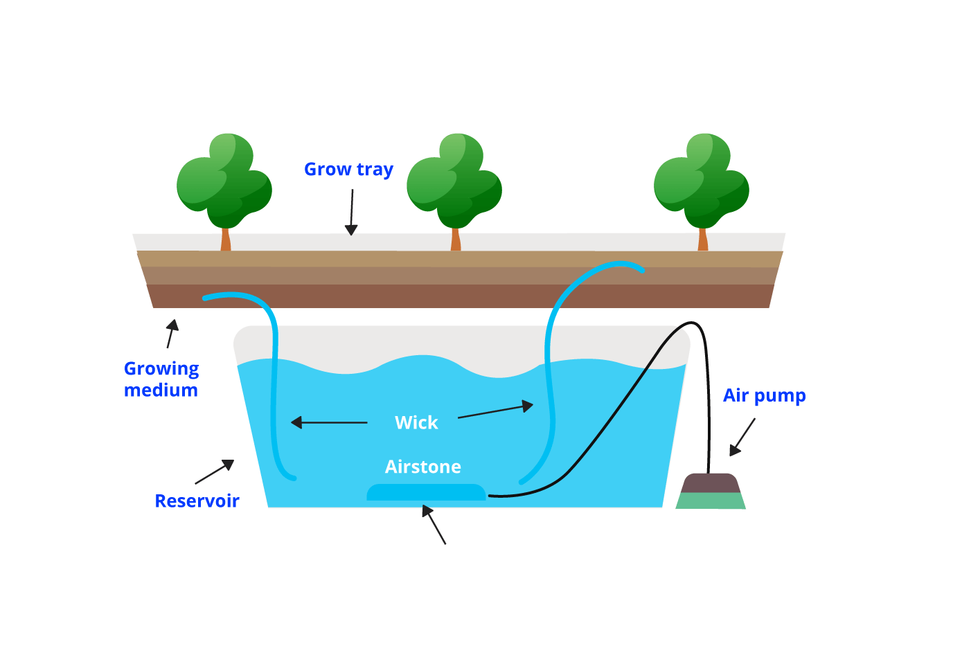 A beginner's guide to hydroponics