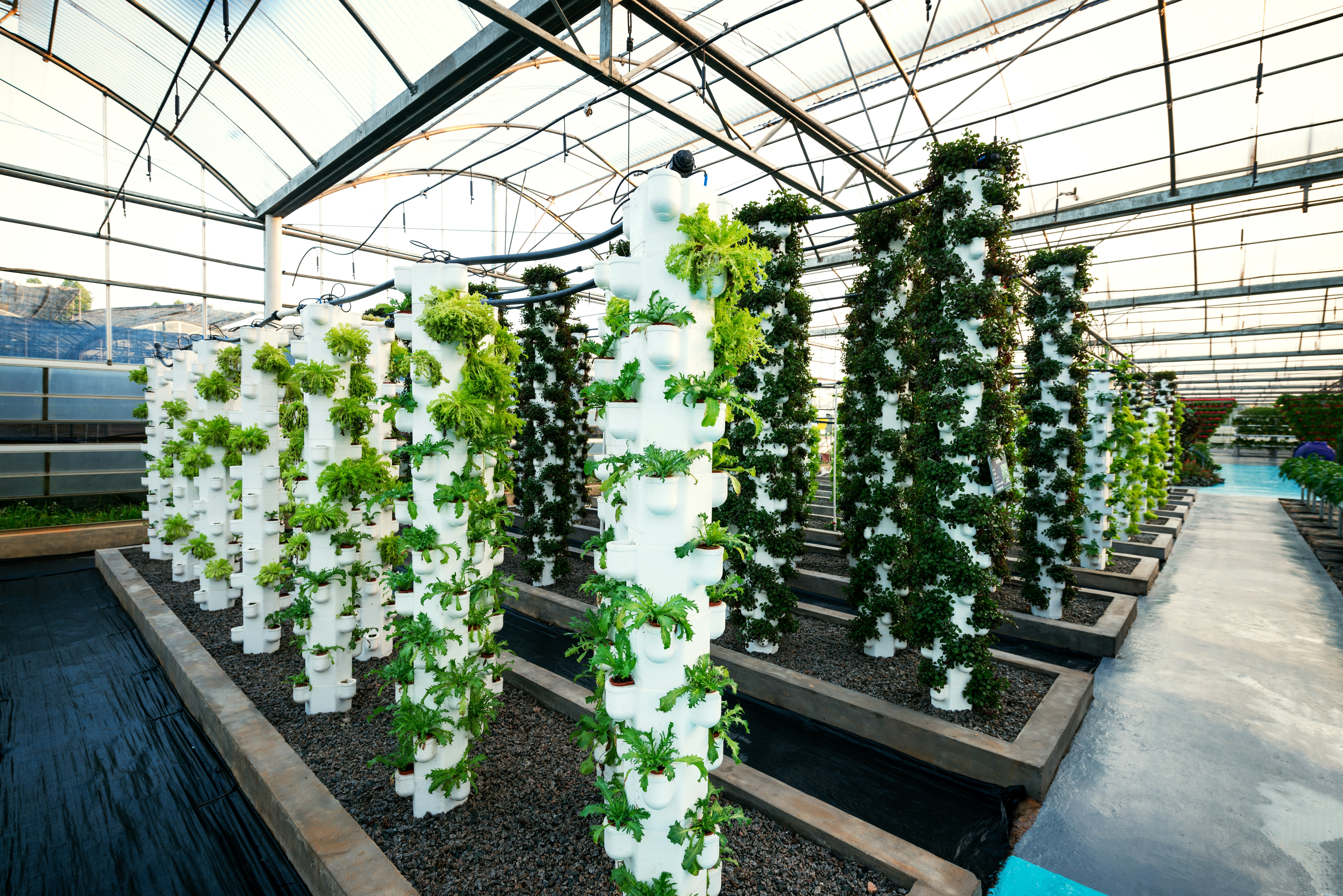 Vertical hydroponic gardening