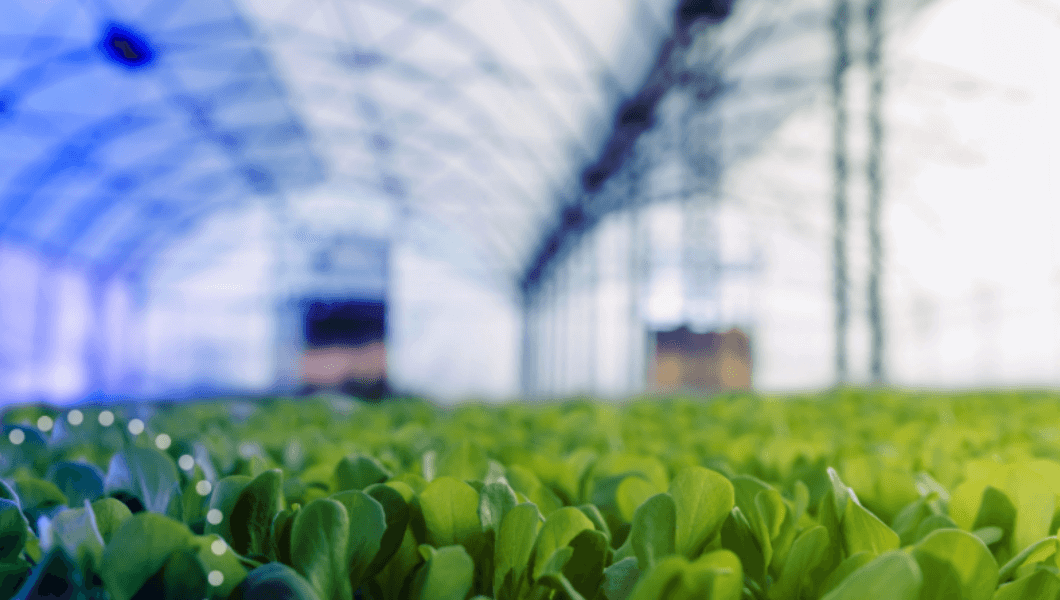 Reducing indoor farming's environmental impact by 74%