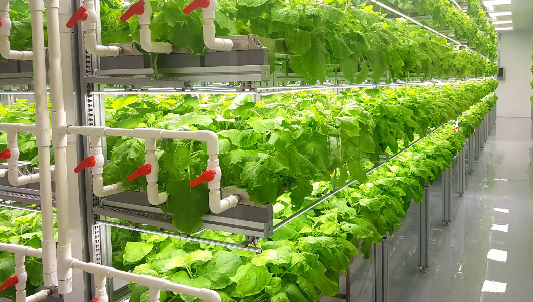 Growing food in space: Exploring the future of food with NASA