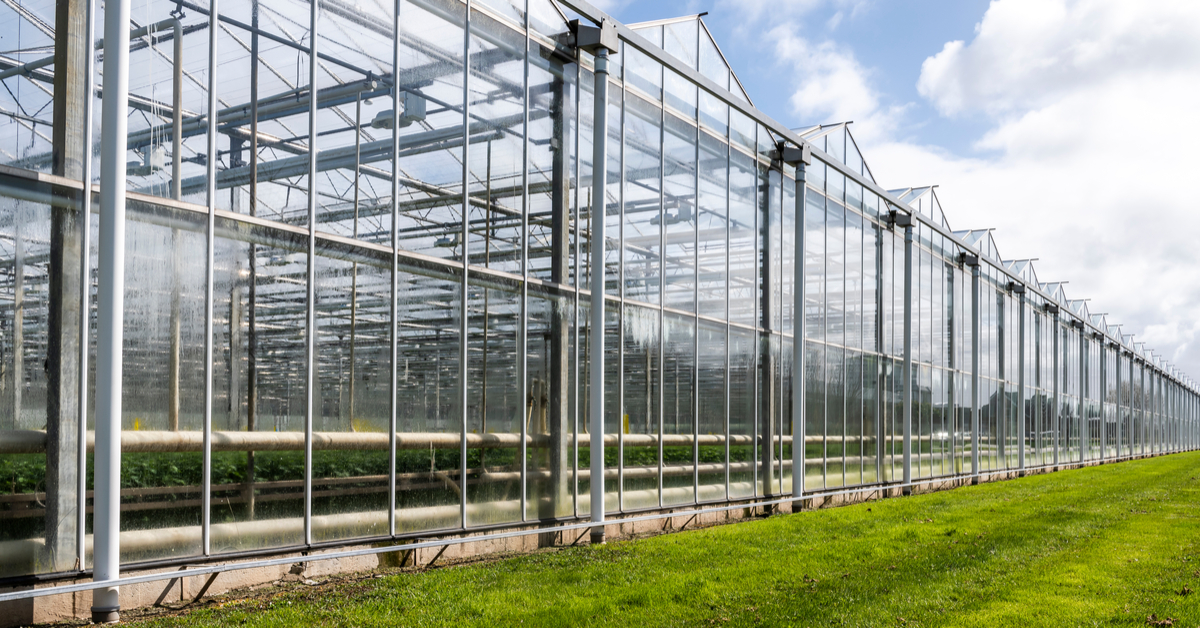 6 Facts About Greenhouse Wet Walls